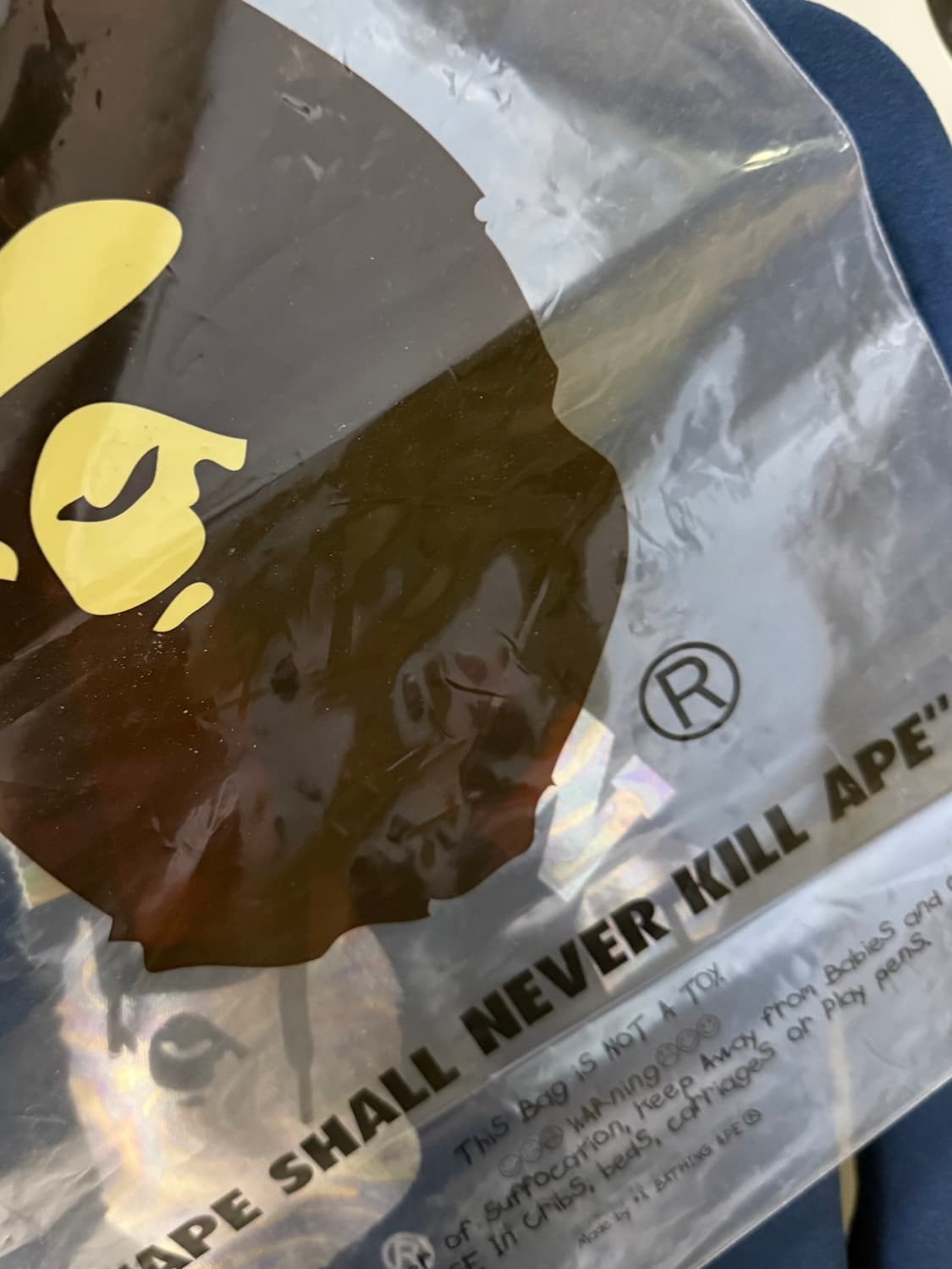 베이프 오로라 컬리지 후드티 상품이미지2