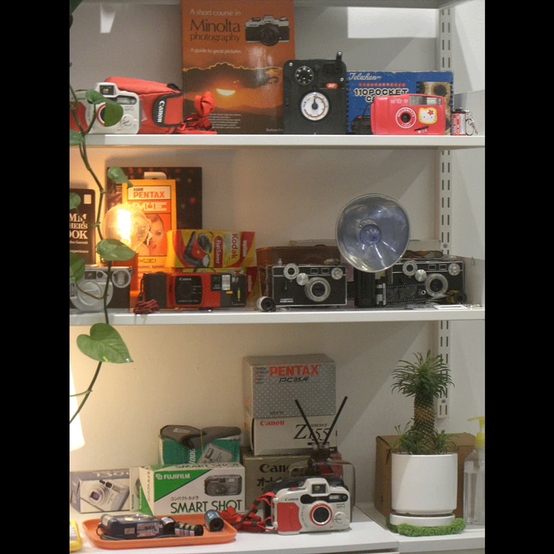 카시오 exilm 엑슬림  EX-Z75 상품이미지7