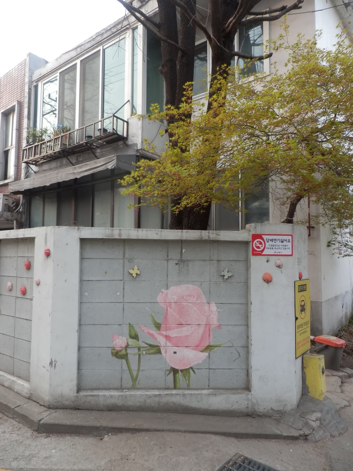 올림푸스 sh-21 골드 상품이미지3