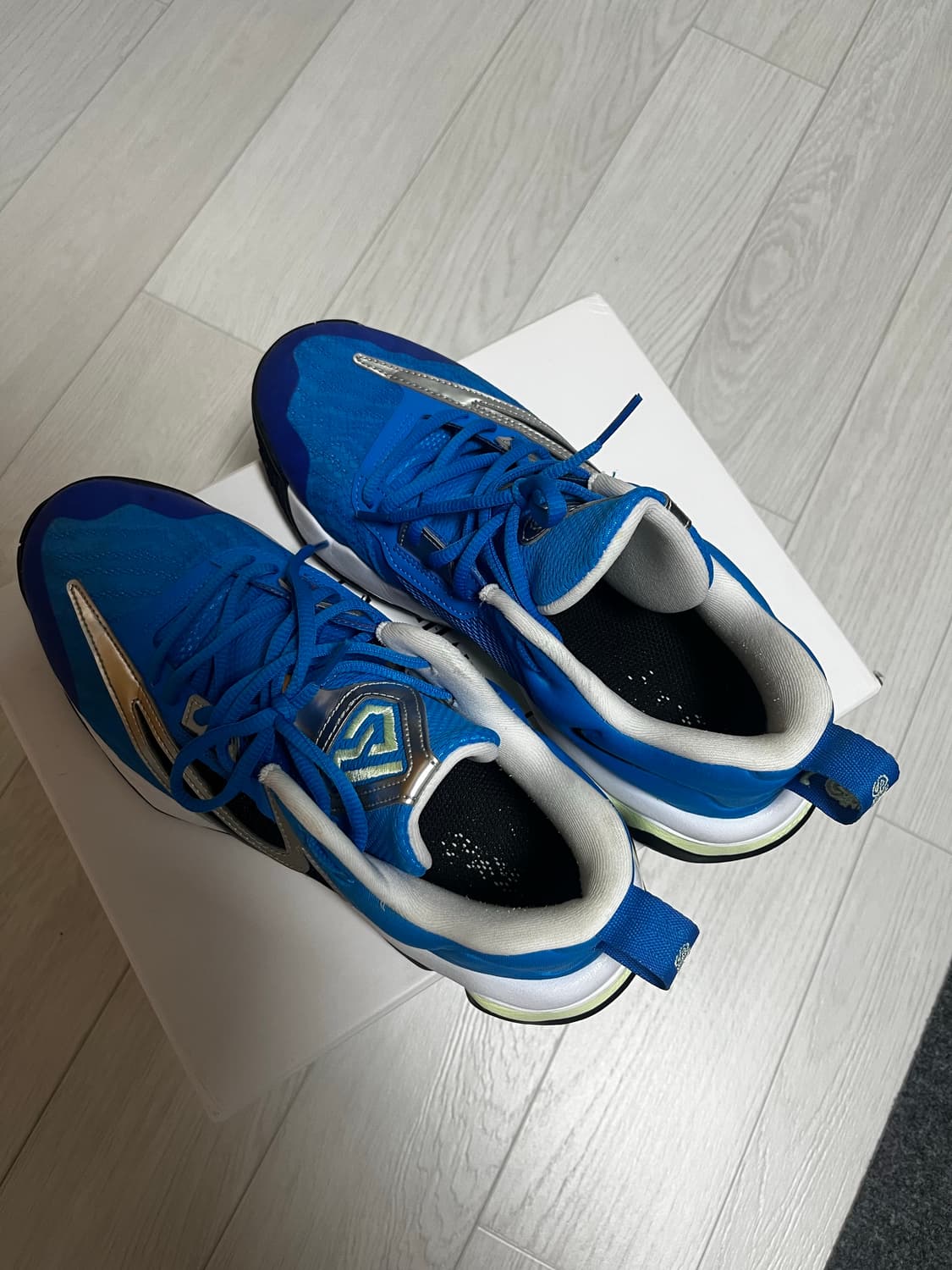 야니스 이모탈리티3 275 상품이미지1