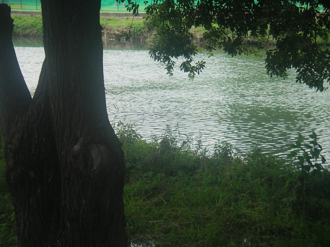 [소프트 포커스, 풀박스] 펜탁스 Optio WP 방수 디카 상품이미지10