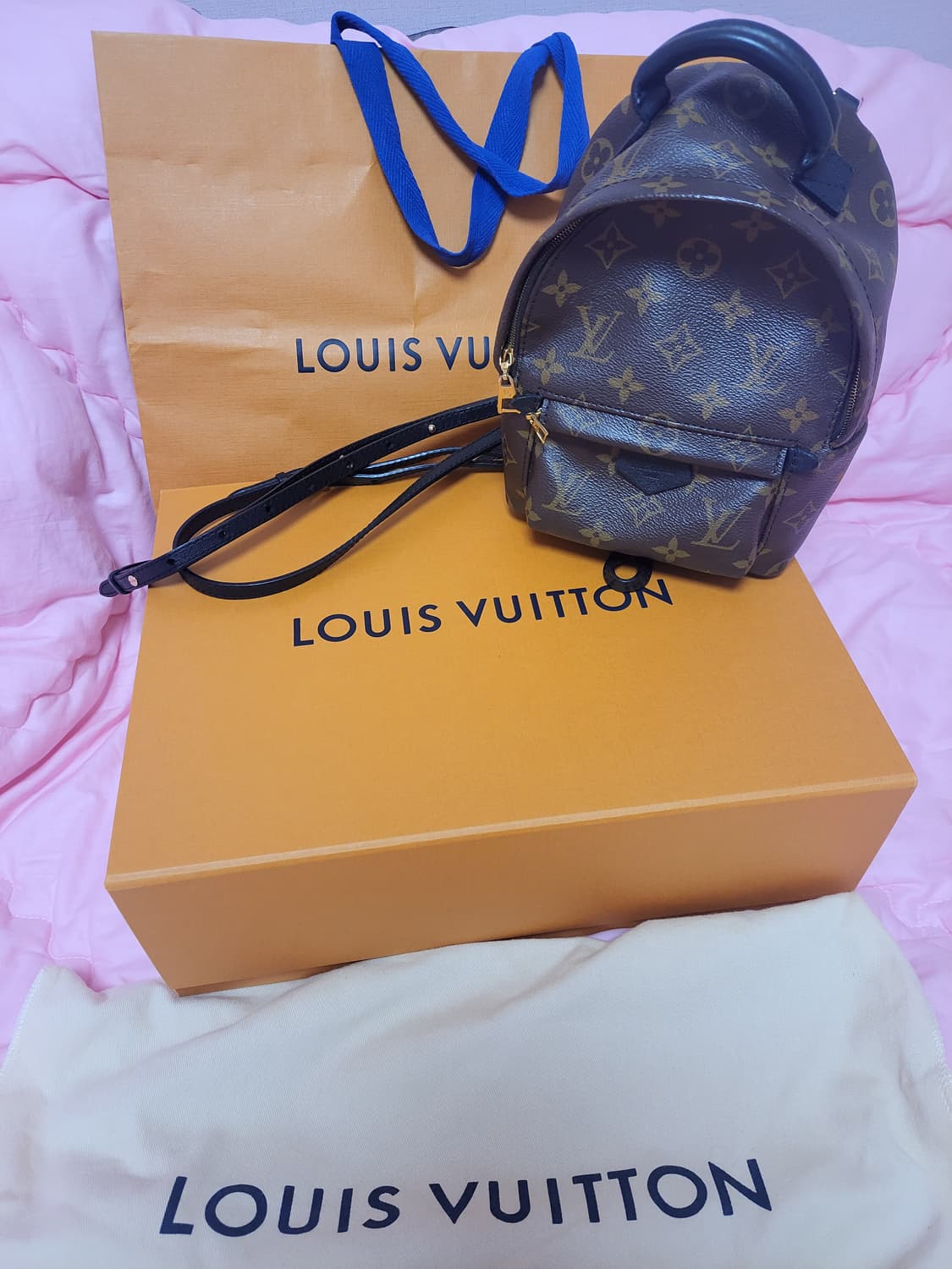 정품)급처상태좋음!루이비통 팜 스프링스 미니 백팩 가방 공홈가 362만원 상품이미지2