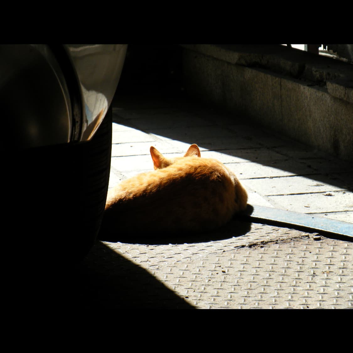 작례⭕️ 후지 파인픽스 Z 250 FD 상품이미지5