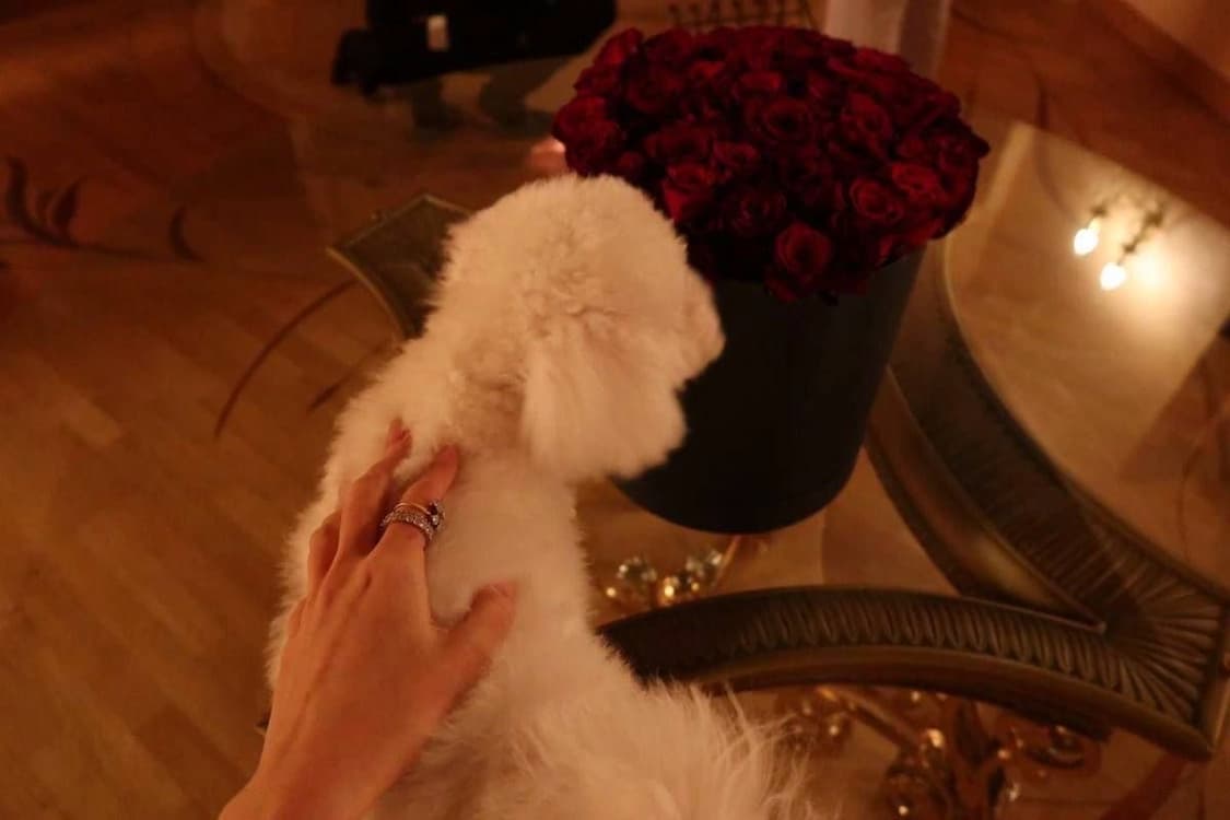 터치스크린&wifi ) 캐논 익서스 245HS / 익시 430F 디카 상품이미지2