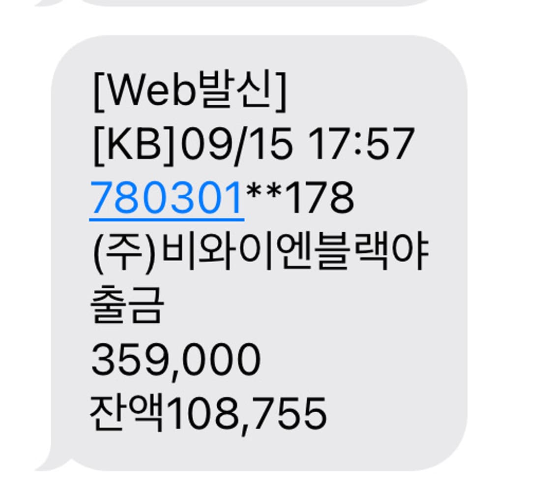 블랙야크 M노카엔GTX3L자켓 S급 상품이미지8