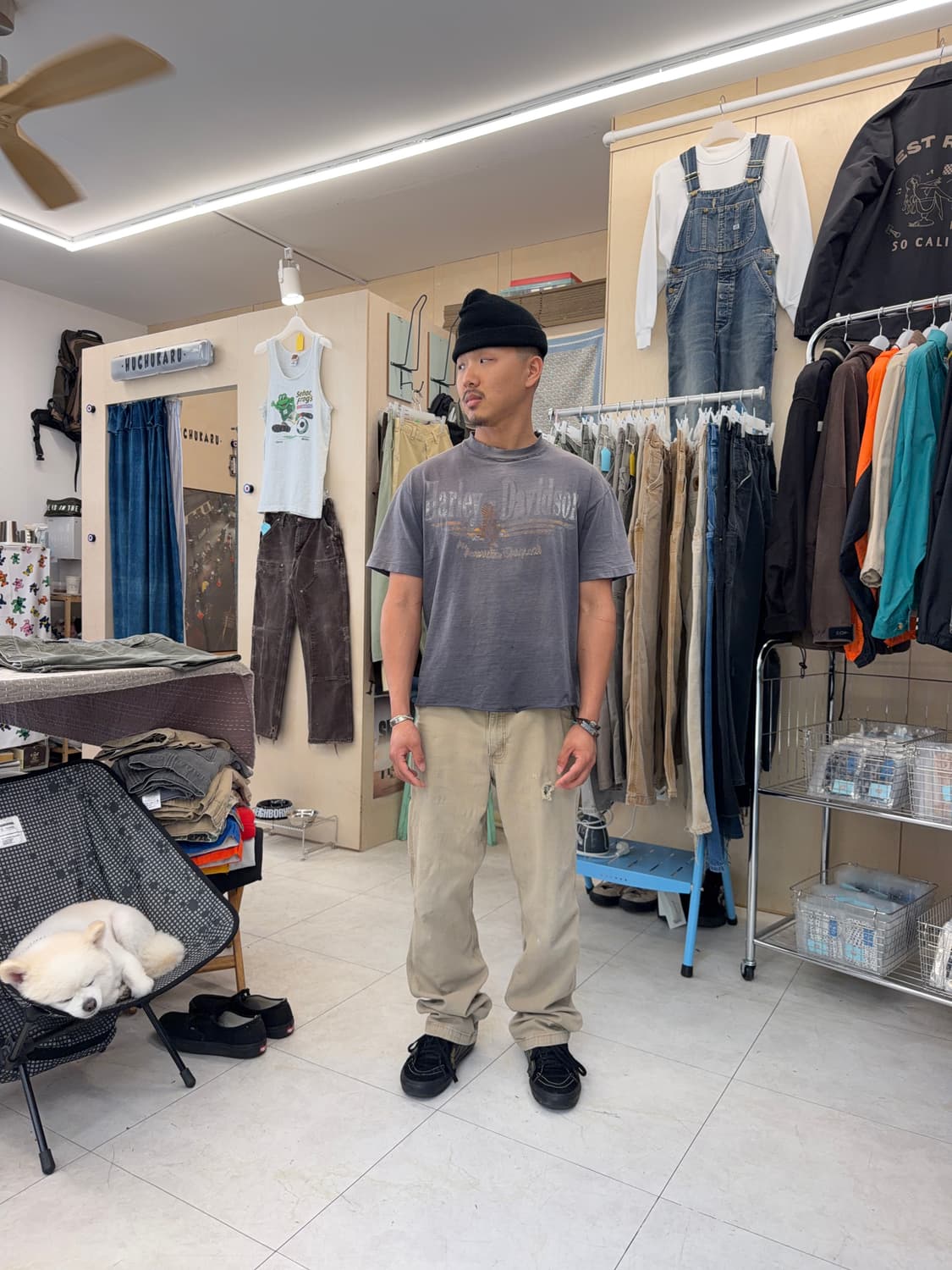 Carhartt work pants (34X34) 상품이미지10