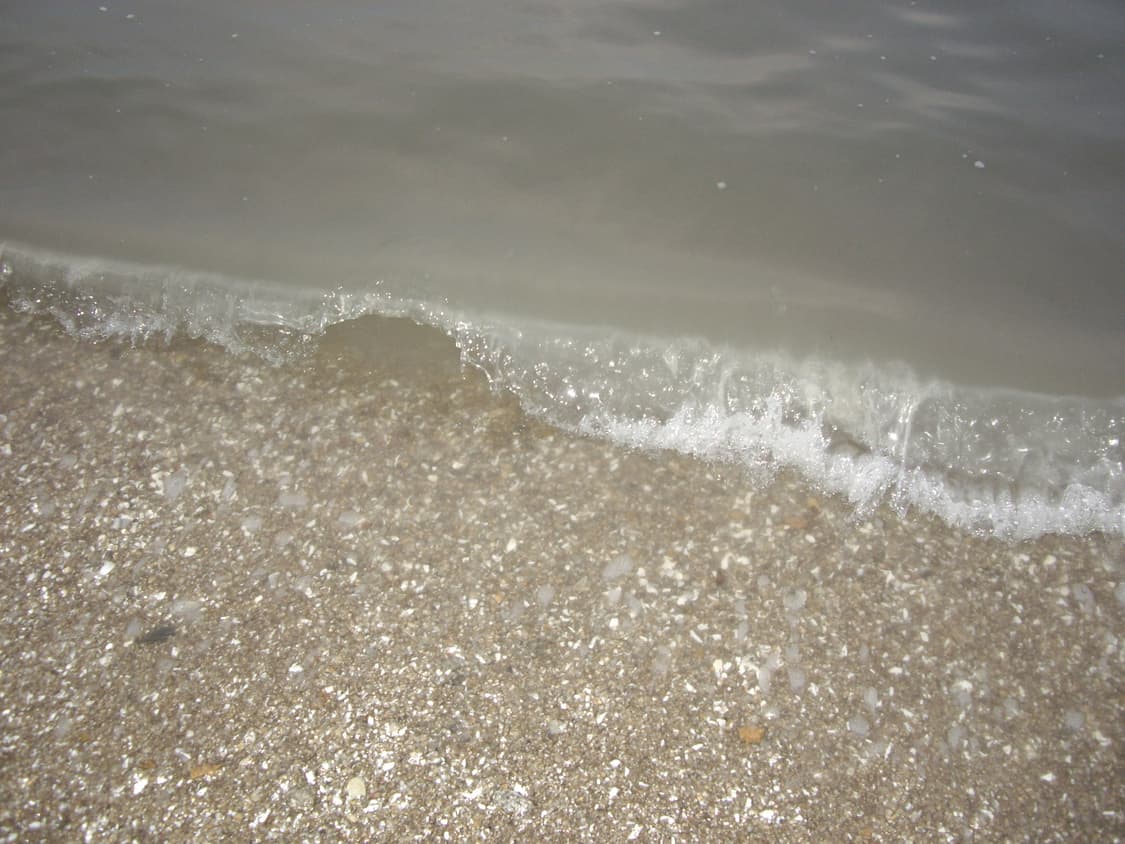 작례O, 아련미…🫧) PENTAX Optio A10 상품이미지7