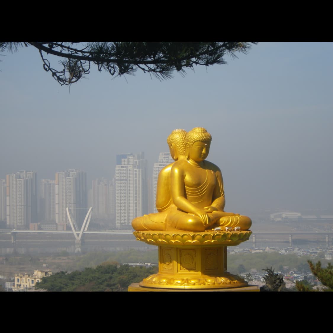 작례⭕️ 펜탁스 WG-10  상품이미지9