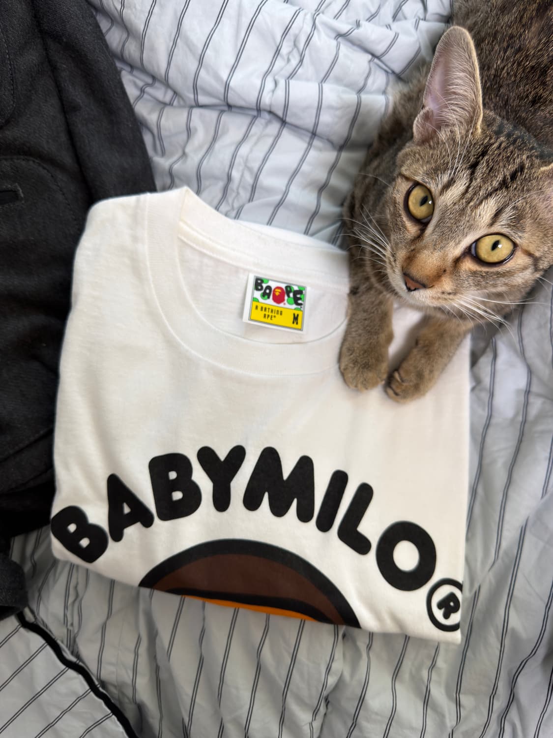Bape 반팔 m 상품이미지1
