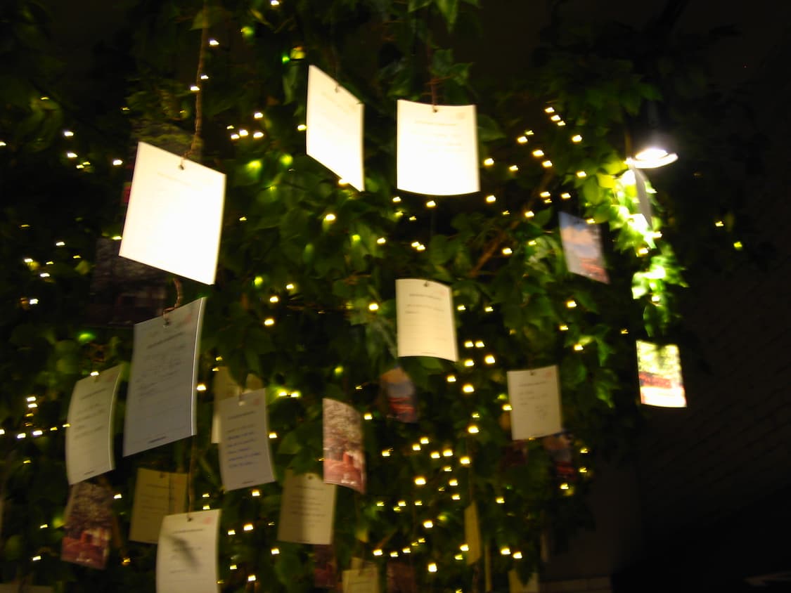 [작례O]캐논 익서스 디지털 L 상품이미지9