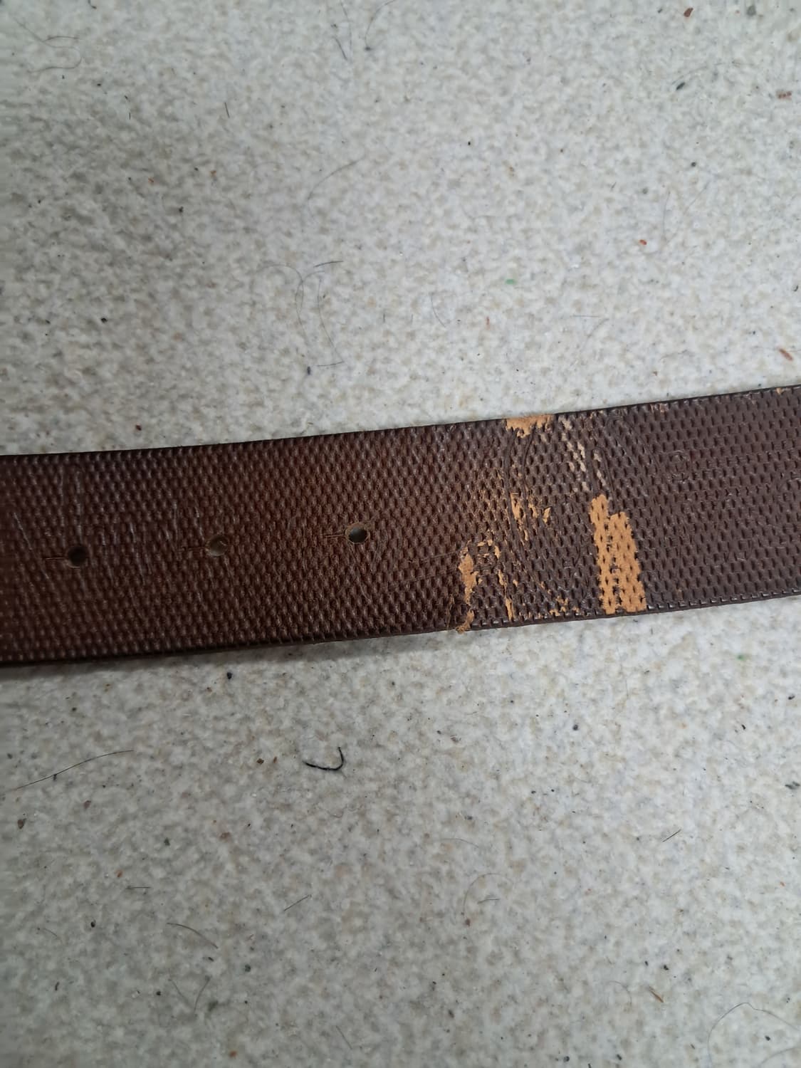 넘버나인 가죽벨트 상품이미지4