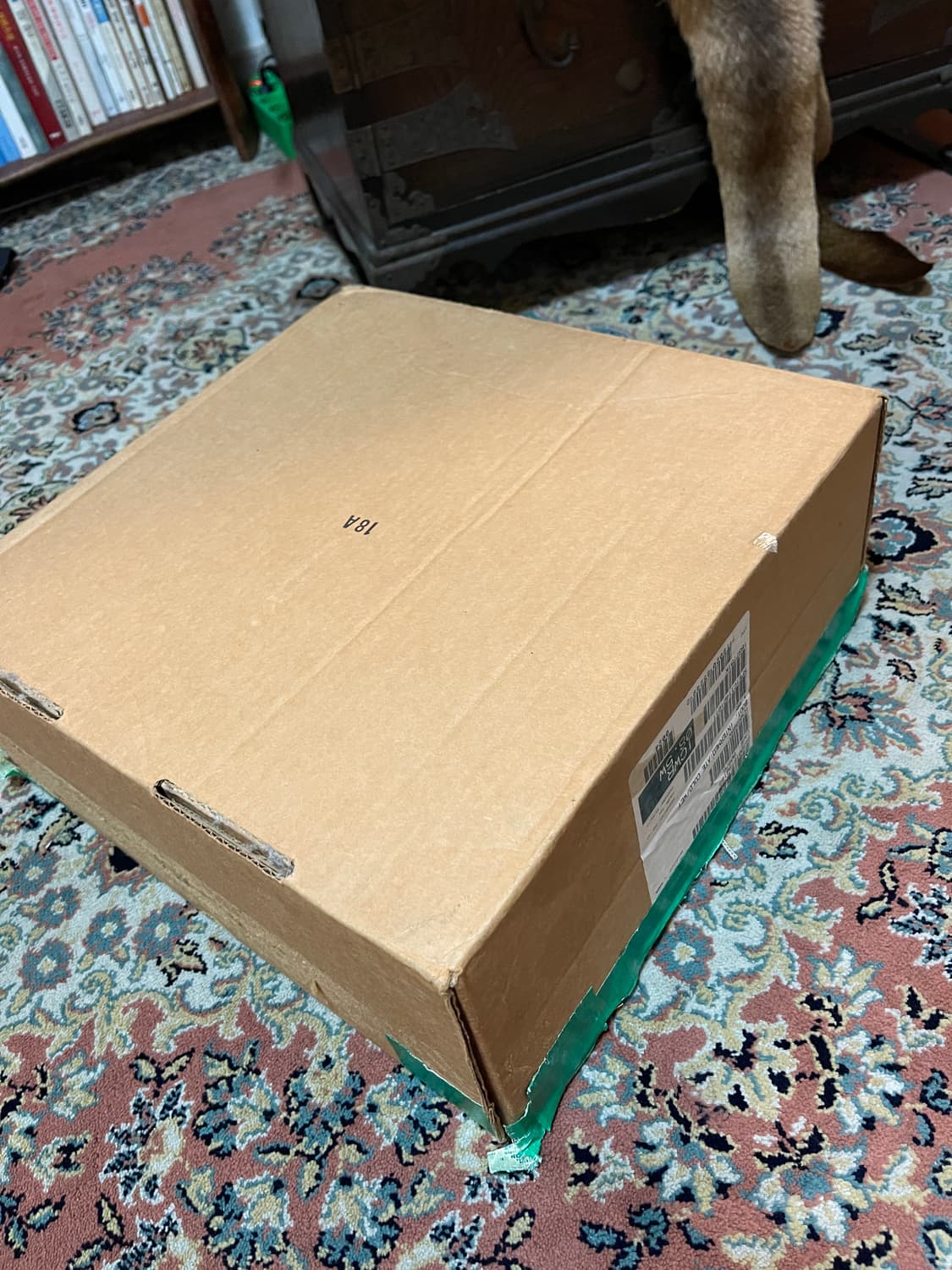 베르빌 사막화 상품이미지4