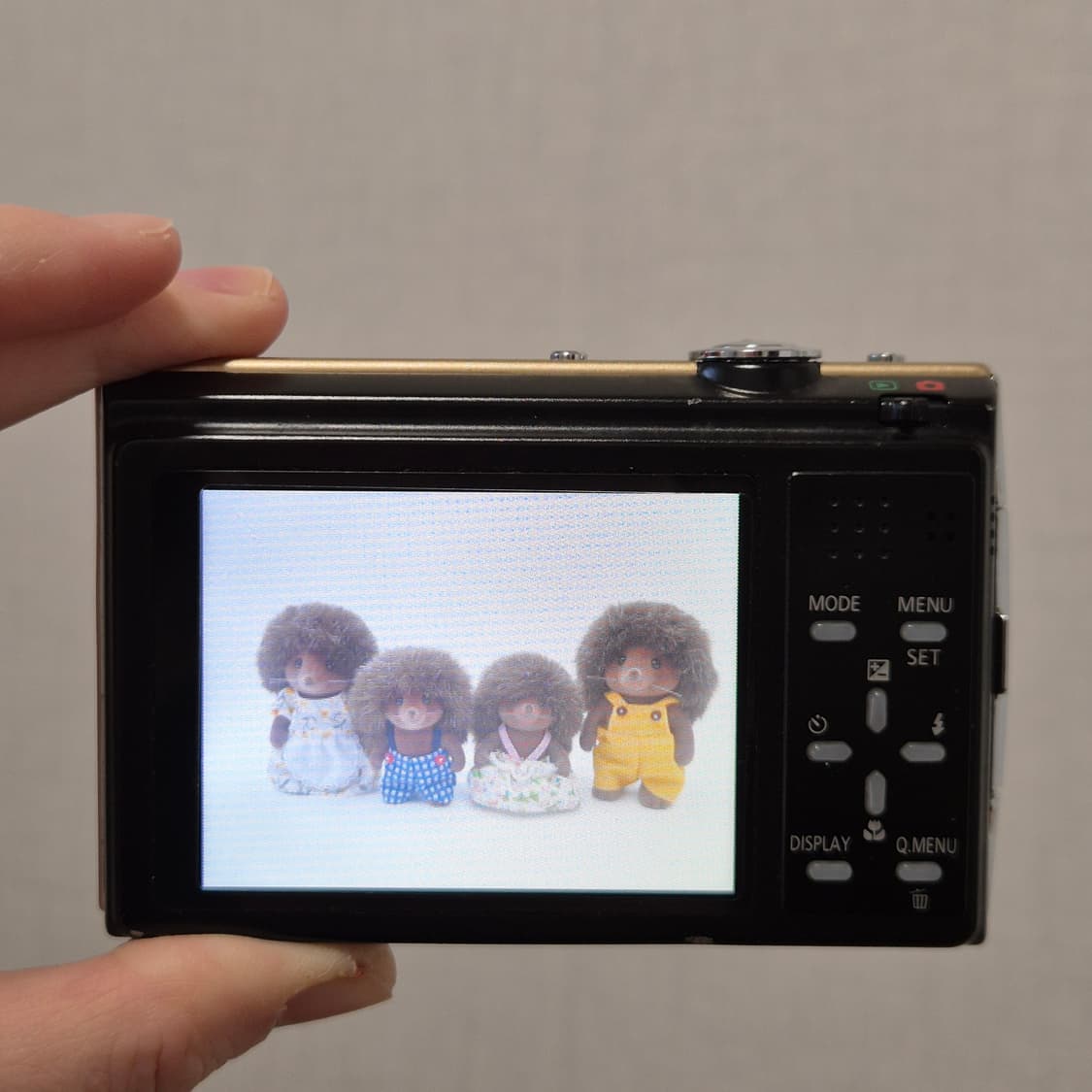 ✨ 루믹스 FP8 골드 ✨
🌼 몽환 + 환한 색감 디카 상품이미지2