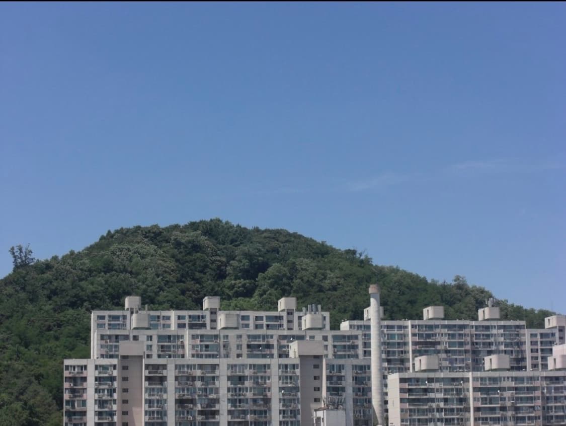 은채픽 💫카시오 EX-Z1050 블루 💜 상품이미지5