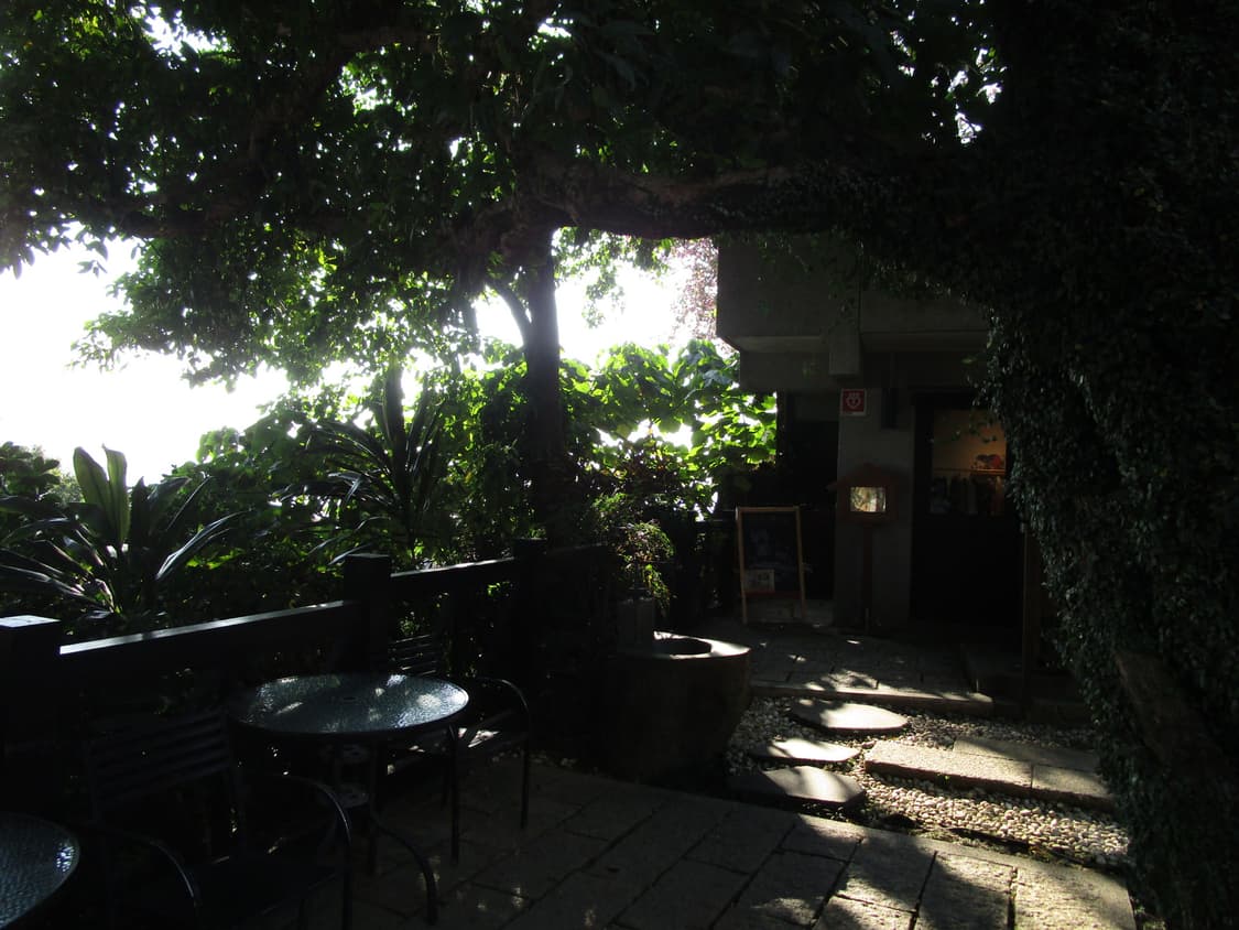 Canon ixy210 상품이미지9