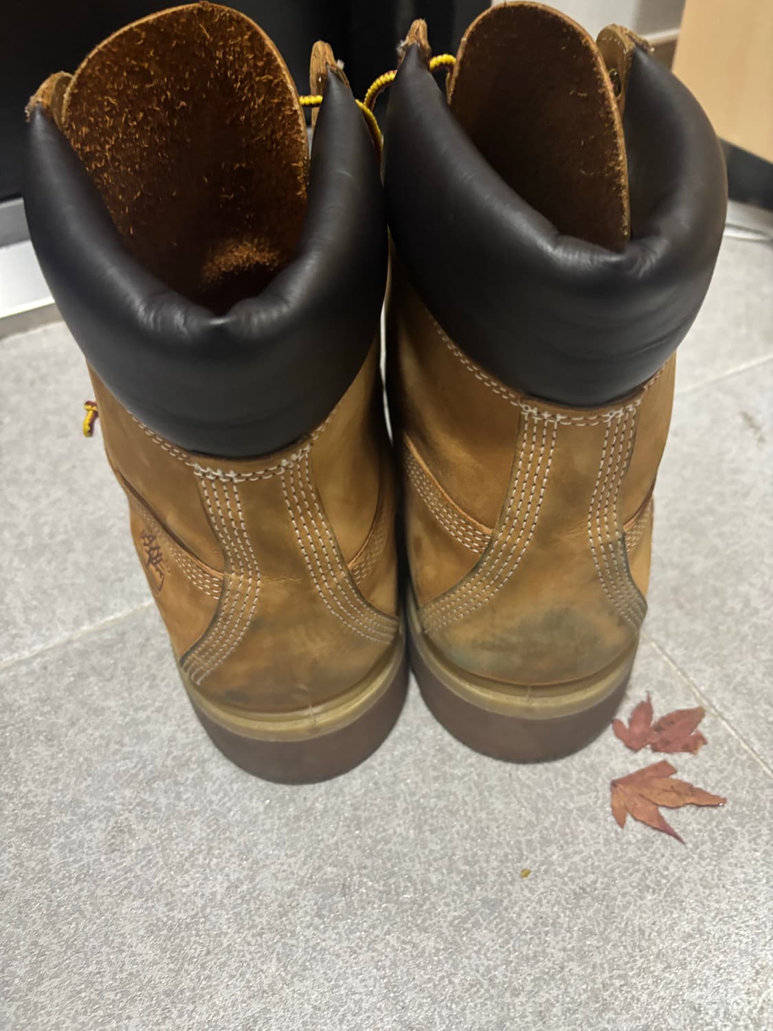 팀버랜드 6인치 290 상품이미지2