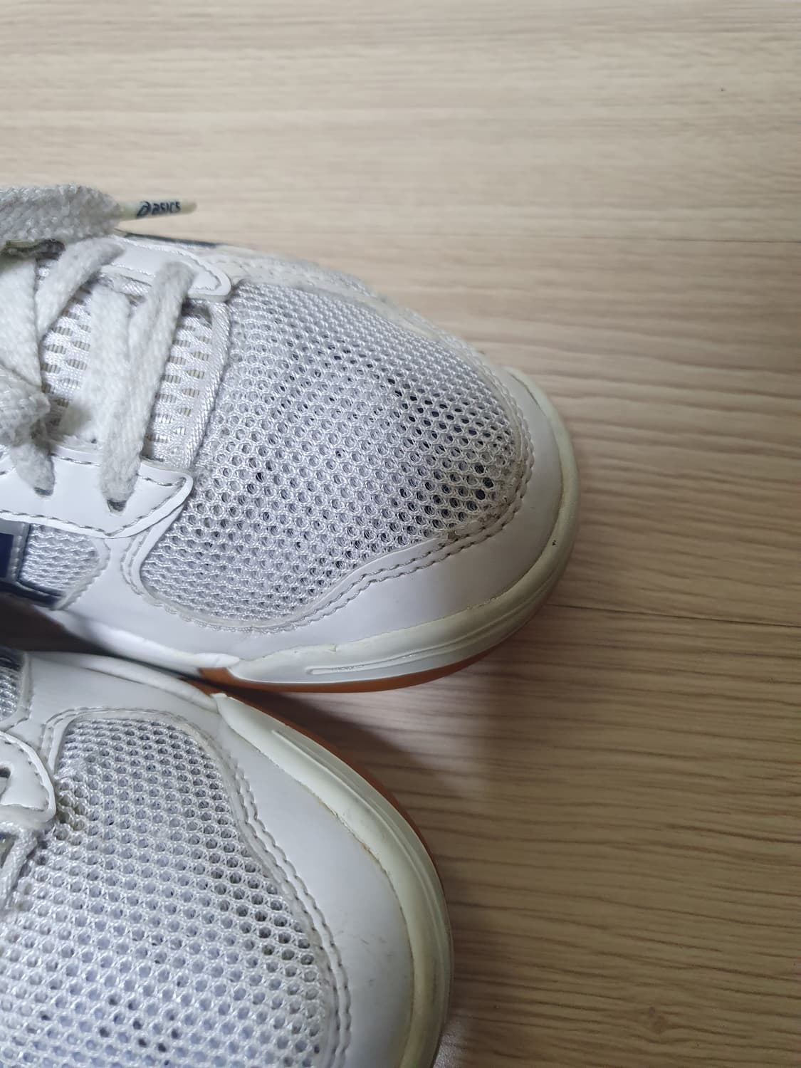 아식스 로테리브레 체대입시화 240 상품이미지8