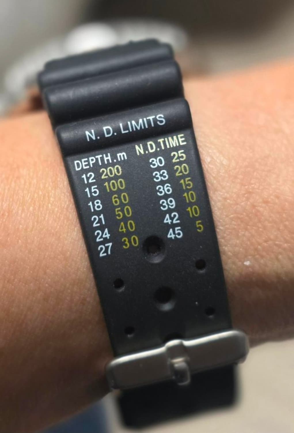 시티즌 (CITIZEN) 복어 프로마스터 오토메틱 다이버 시계 상품이미지5