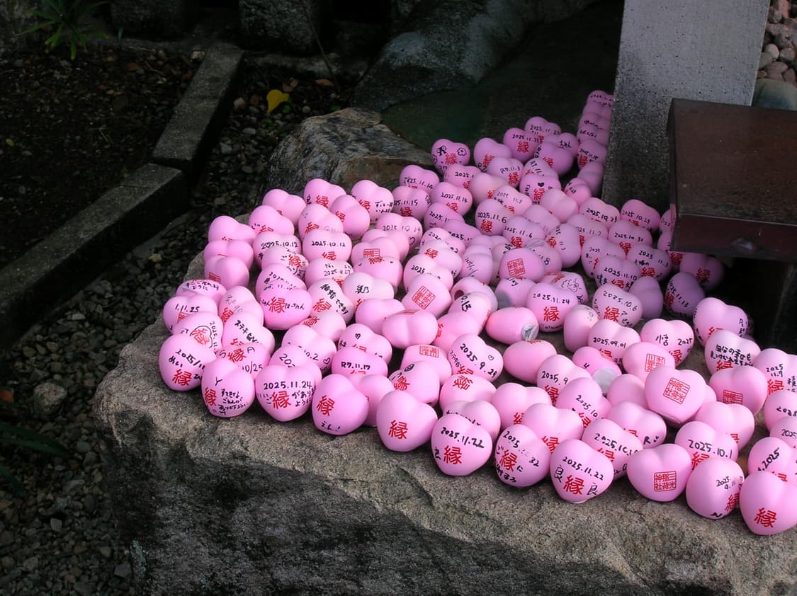 니콘 쿨픽스 4600 판매 (작례O) 상품이미지7