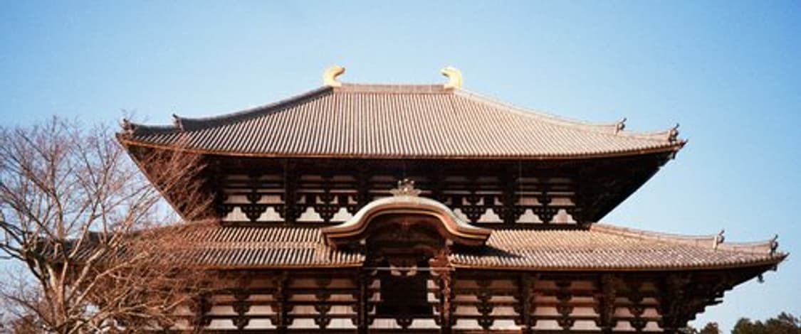 펜탁스 IQ 줌 105G 필름 카메라 (빈티지 카메라) 상품이미지8