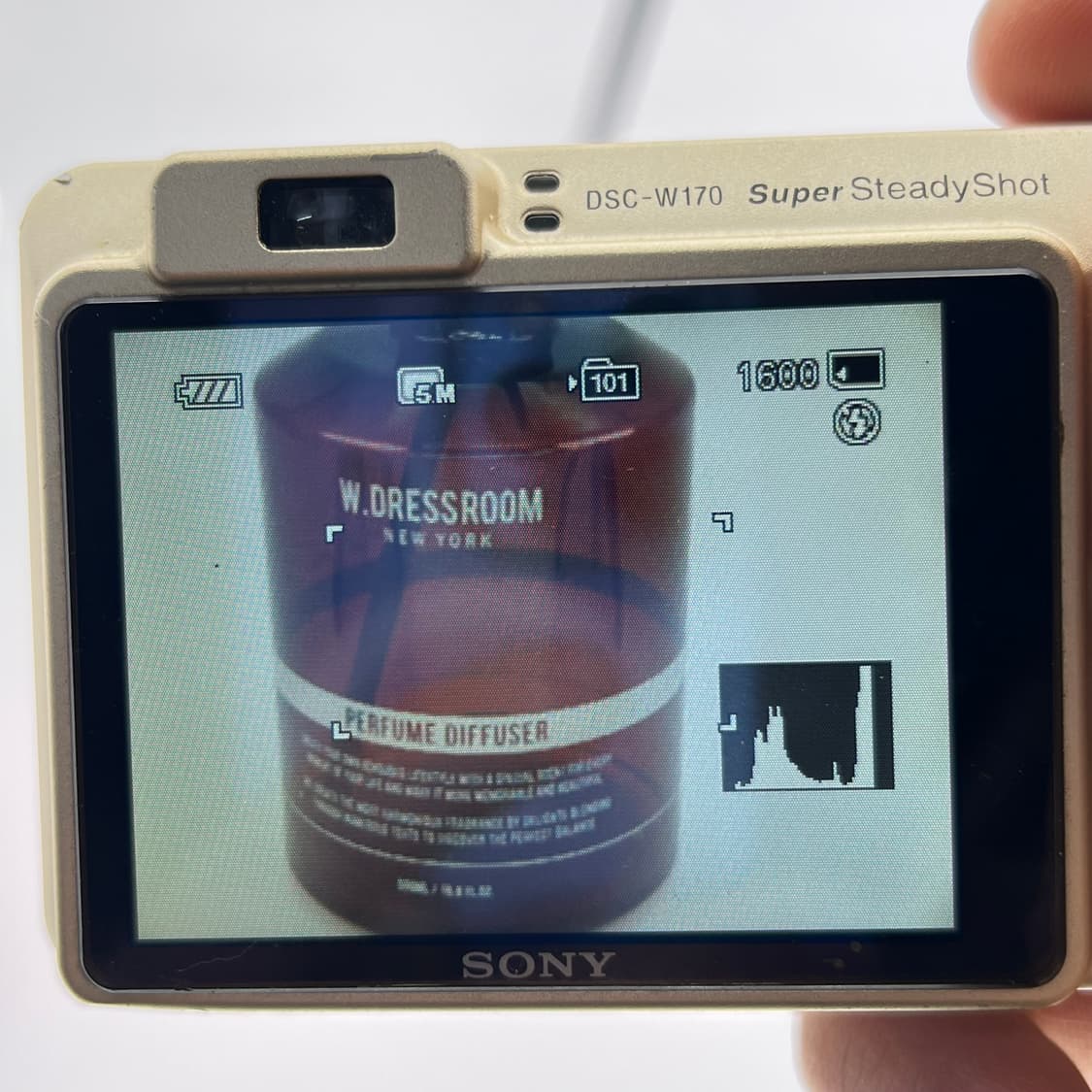 소니 사이버샷 Sony Cyber-shot DSC-W170 실버 상품이미지9