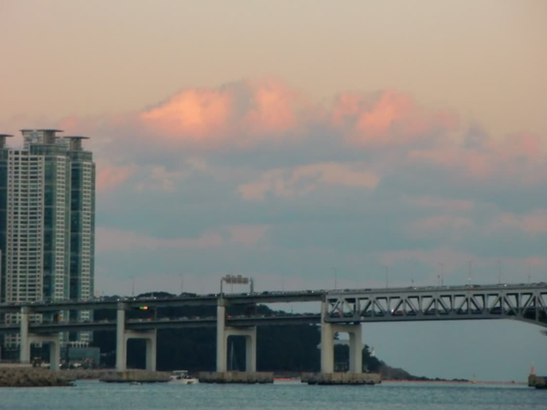 casio ex-h10 (카시오 엑슬림 h10)✨ 작례있음‼️ 상품이미지7