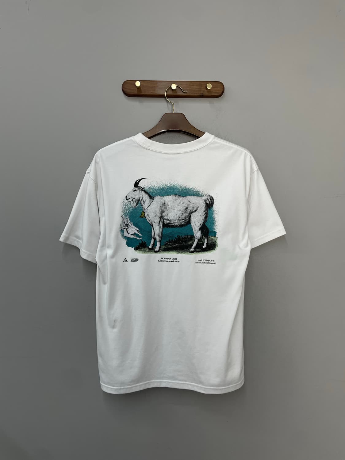 나이키 ACG 고트 드라이핏 반팔 H2256 상품이미지4