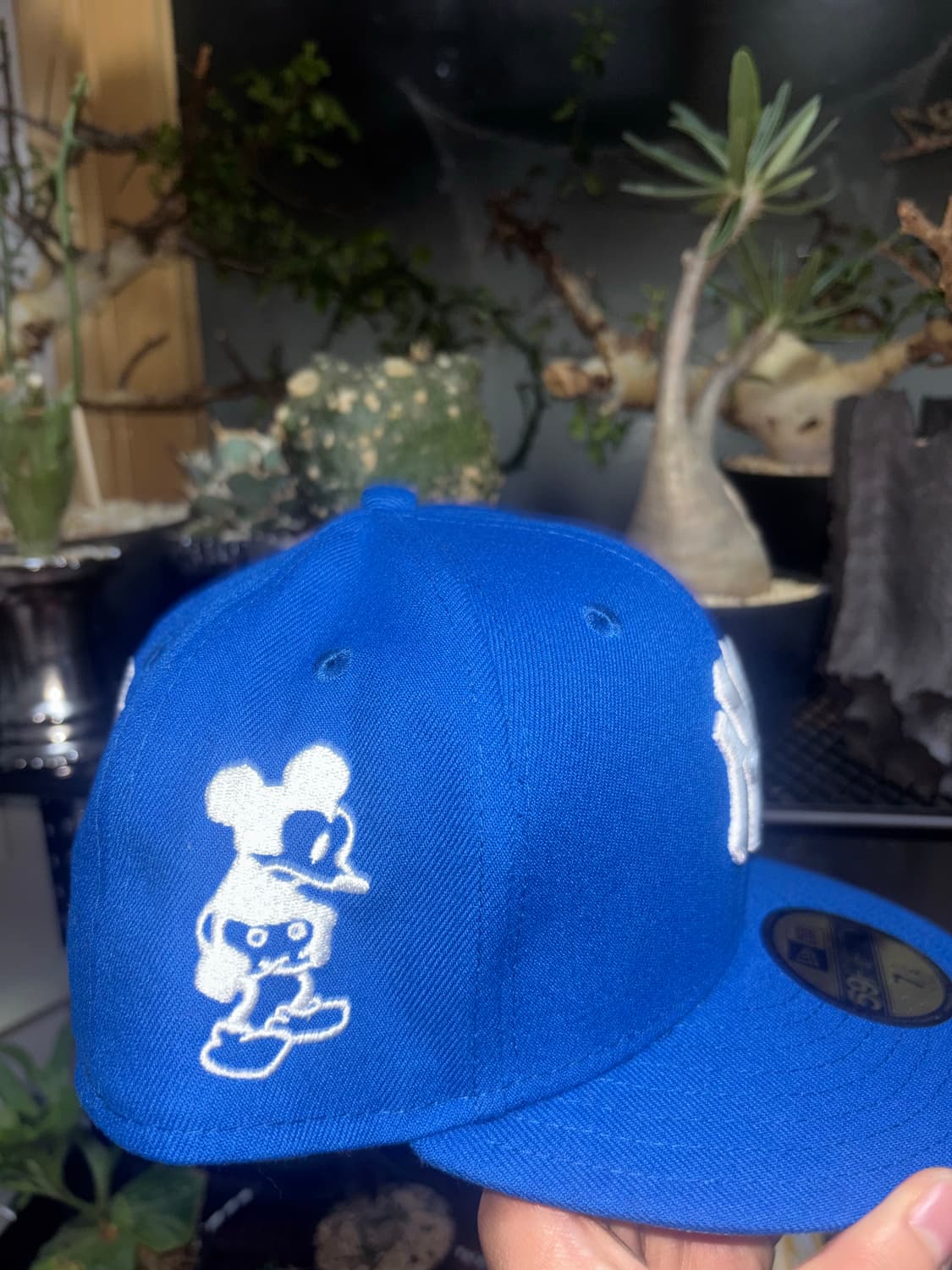 capo 뉴에라 캡 상품이미지3