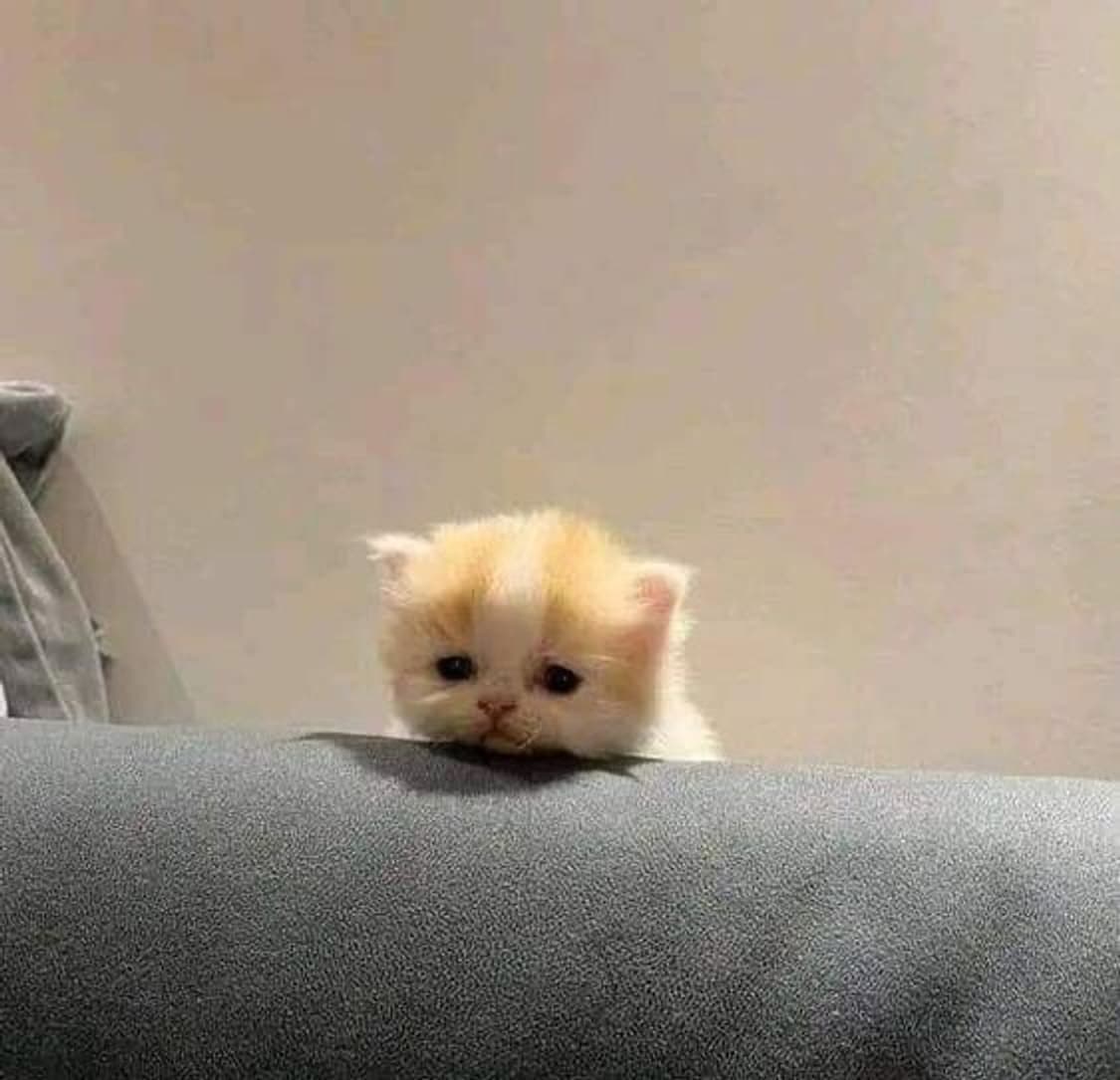 Private Payment Link for kiki 상품이미지1