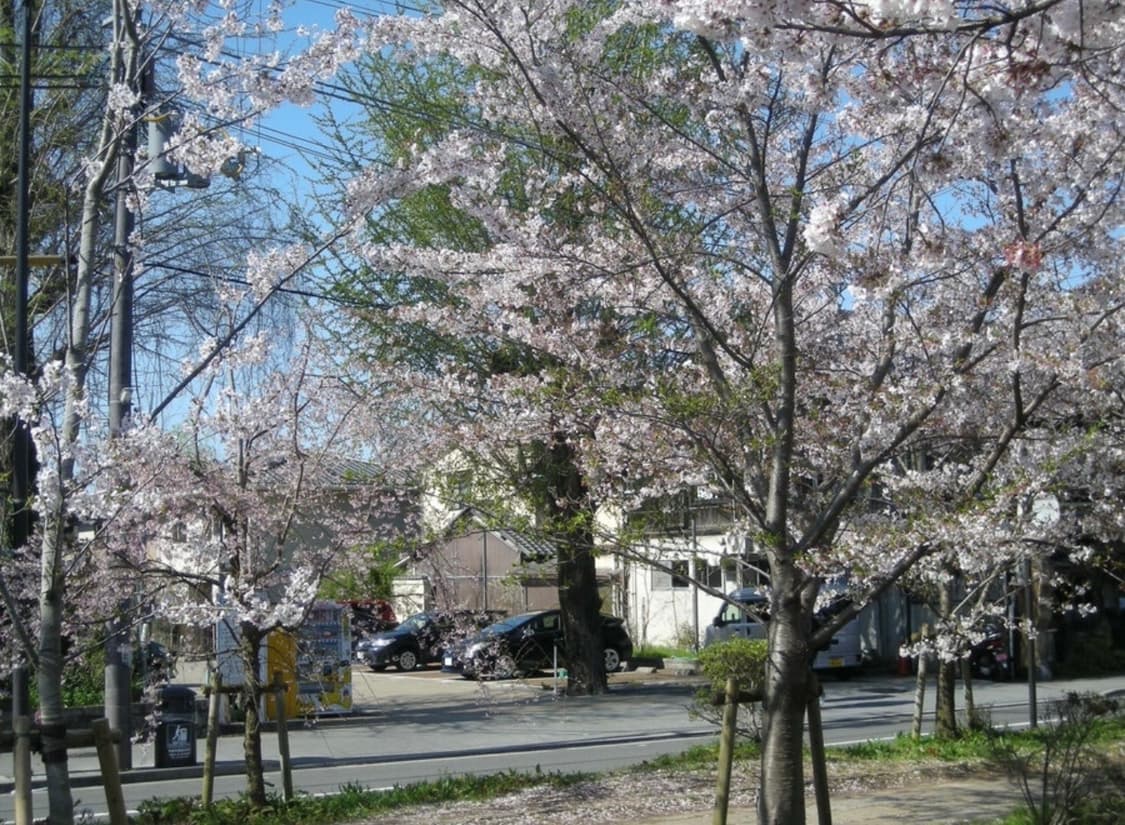 급처/작례O) 니콘 쿨픽스 S500 nikon coolpix S500 상품이미지6