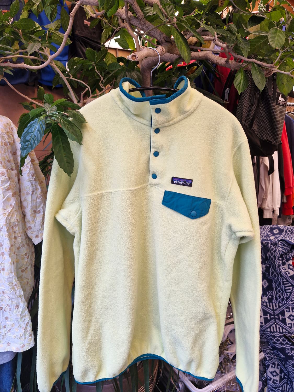 Z-373 파타고니아 신칠라  상품이미지1