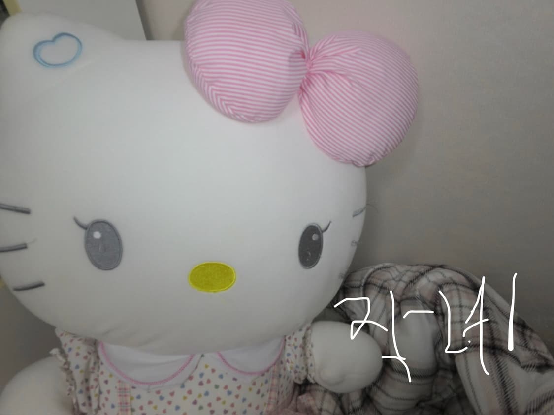 (외관 준민트급) 카시오 엑슬림 ex-z2000 핑크 디카 상품이미지5