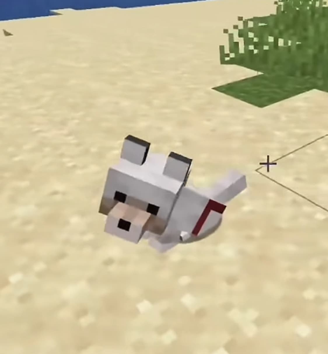 Yyy님결제창 상품이미지1