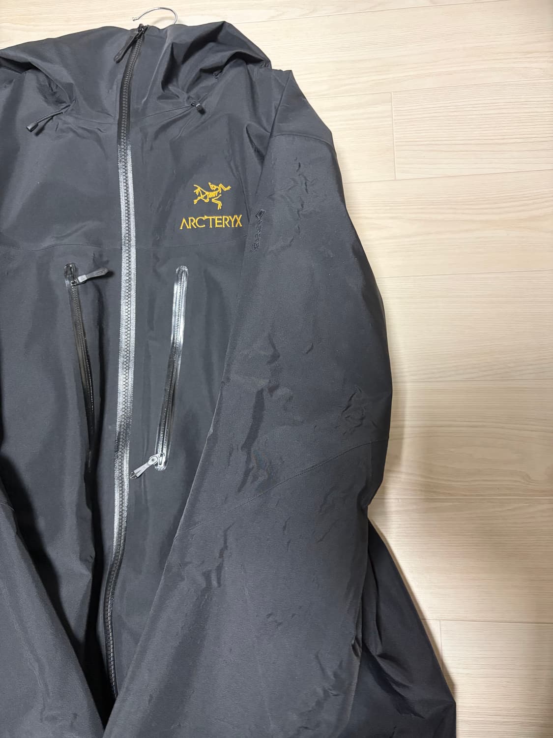 아크테릭스 알파 24k SV L사이즈 상품이미지3