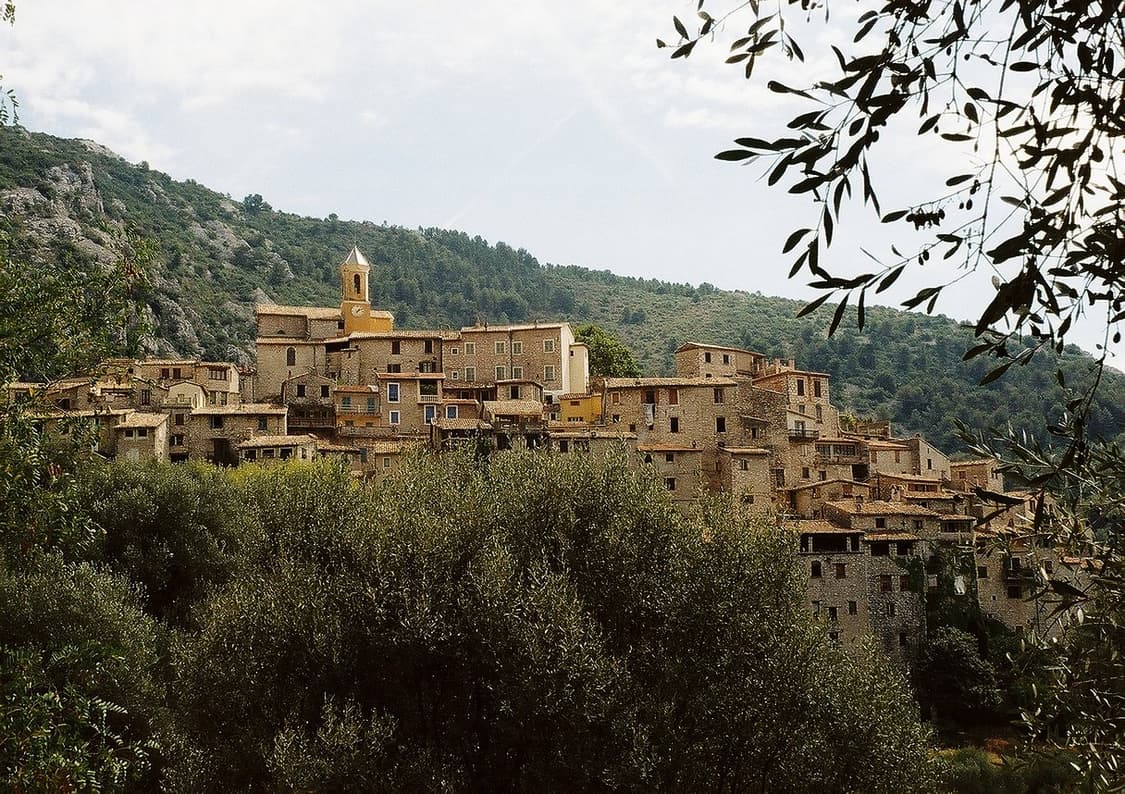 작례O 클래식 감성 올림푸스 오토아이+주이코 45mm 2.8 필름카메라 상품이미지2