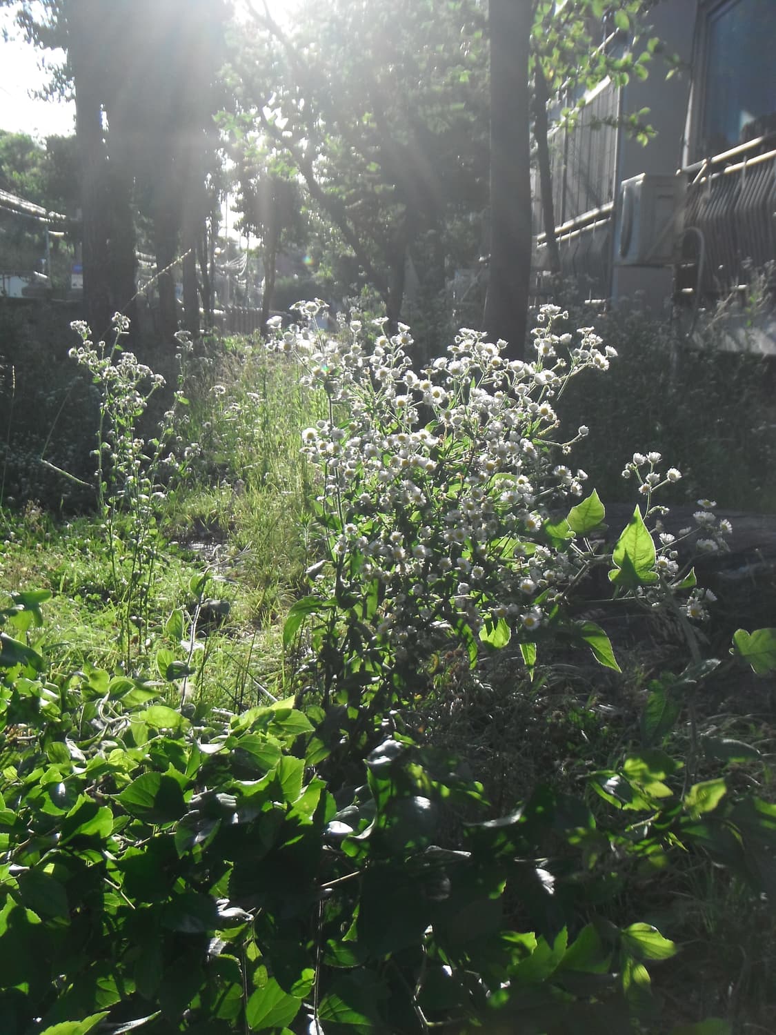 [작례있음]FUJIFILM FINEPIX Z90 상품이미지7