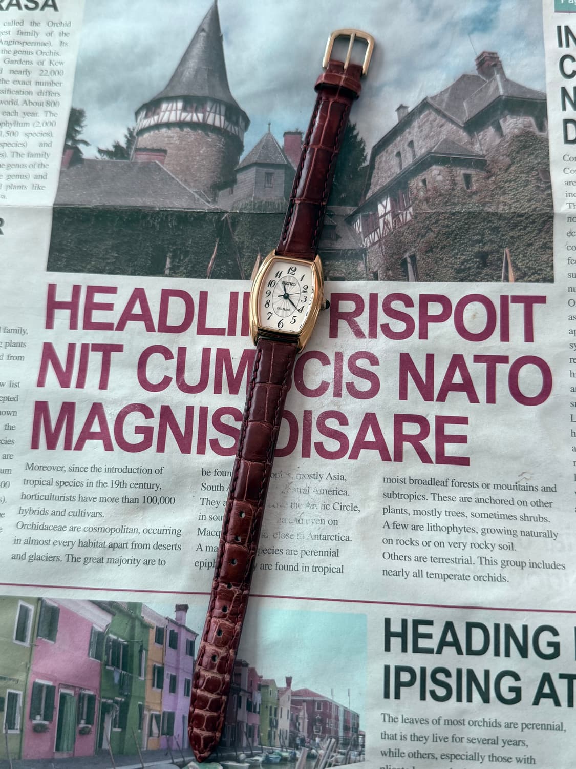 세이코 Seiko EXCELINE 토노 레이디스 상품이미지2