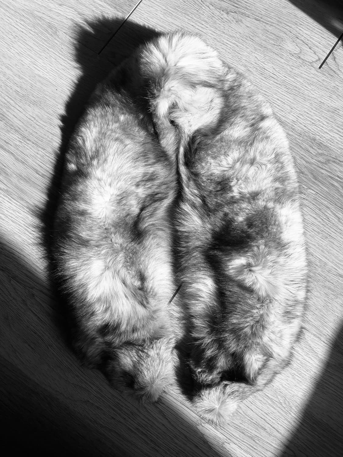 fur muffler  상품이미지6