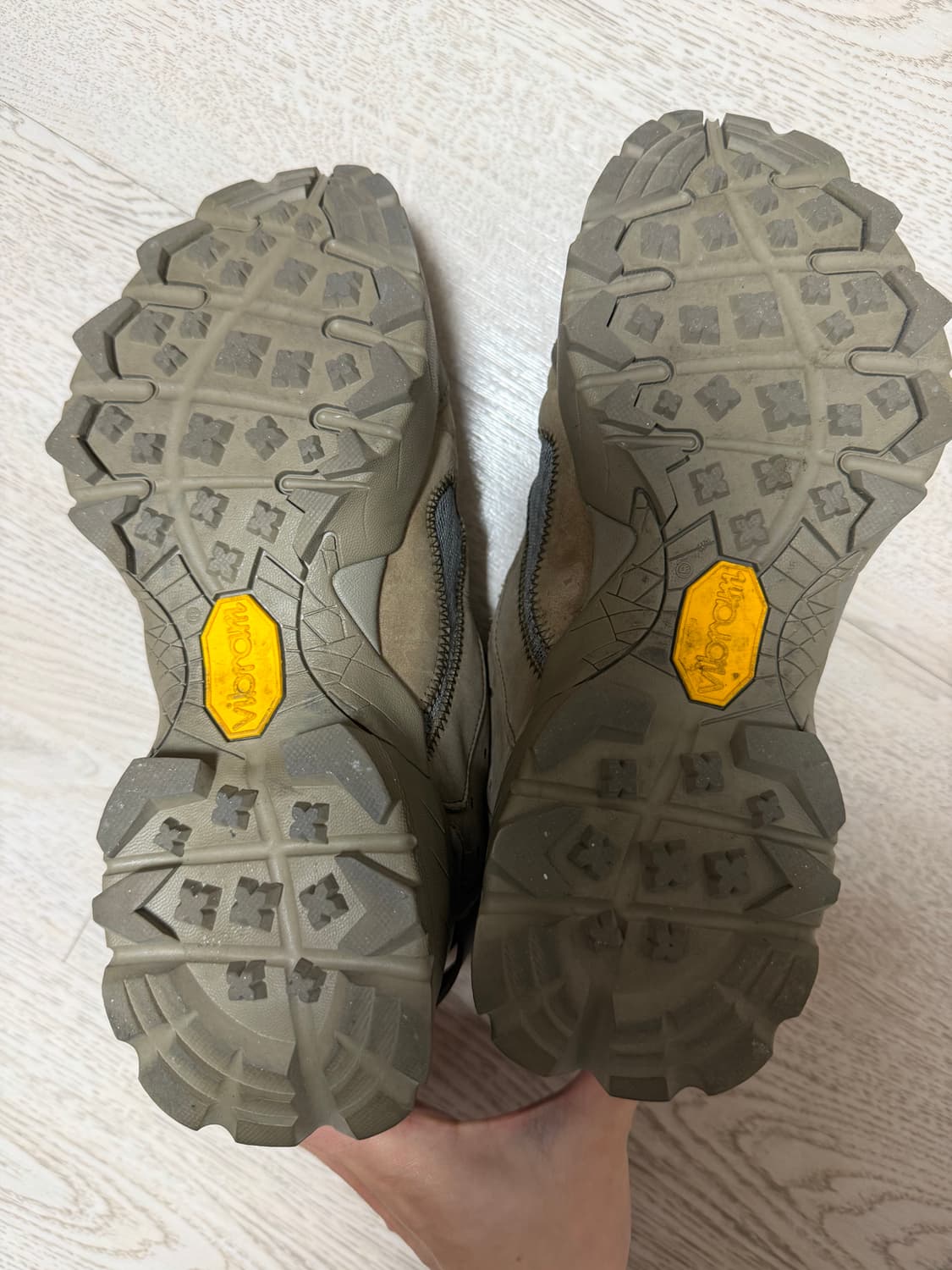 ROA 로아 로제스 알로에 상품이미지6