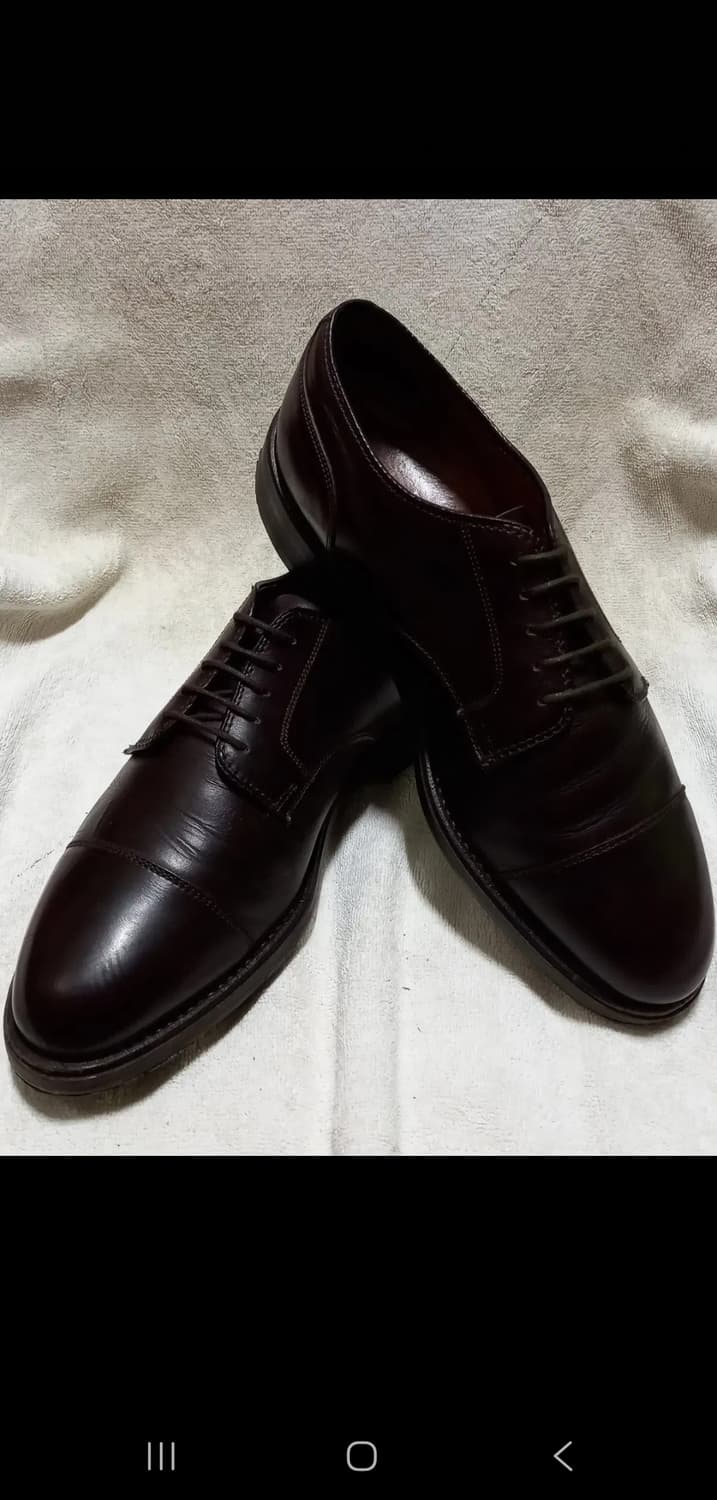 [판매] Alden 973 알든 973 카프 스트레이트 팁 블러처 8d 상품이미지10