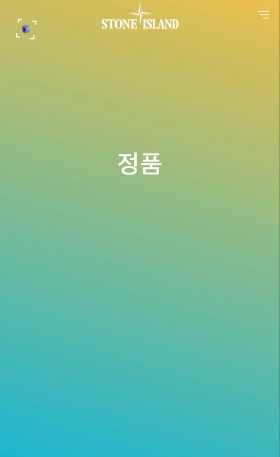 스톤아일랜드 옐로우 카라티 상품이미지3