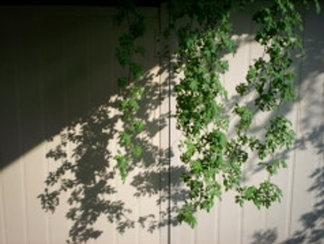 코닥 이지쉐어(Easyshare) 디카 (빈티지 카메라) 상품이미지10