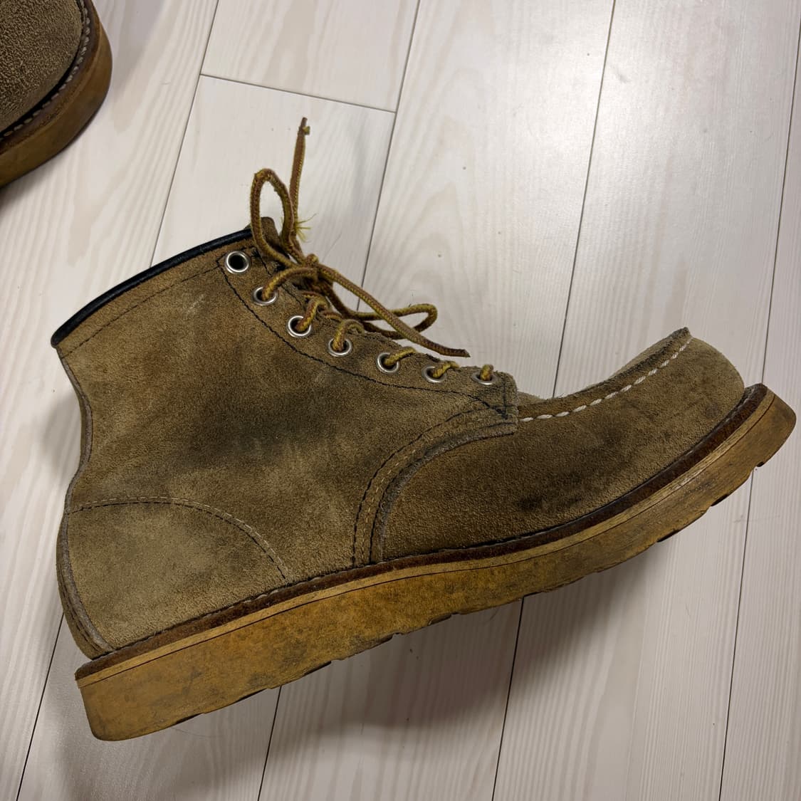 레드윙8173 목토 상품이미지3