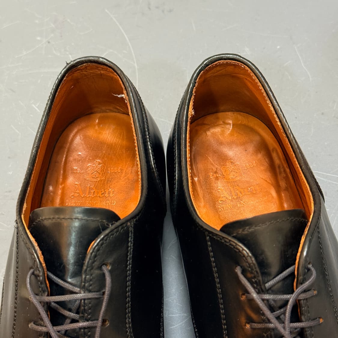 [8.5D] 알든 2161 블랙 코도반 스트레이트 팁 더비  상품이미지8