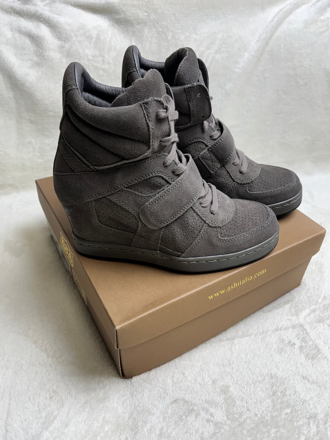 [39] 아쉬 웨지힐 스니커즈 ( 박스,깔창보호✅) || 250 상품이미지2