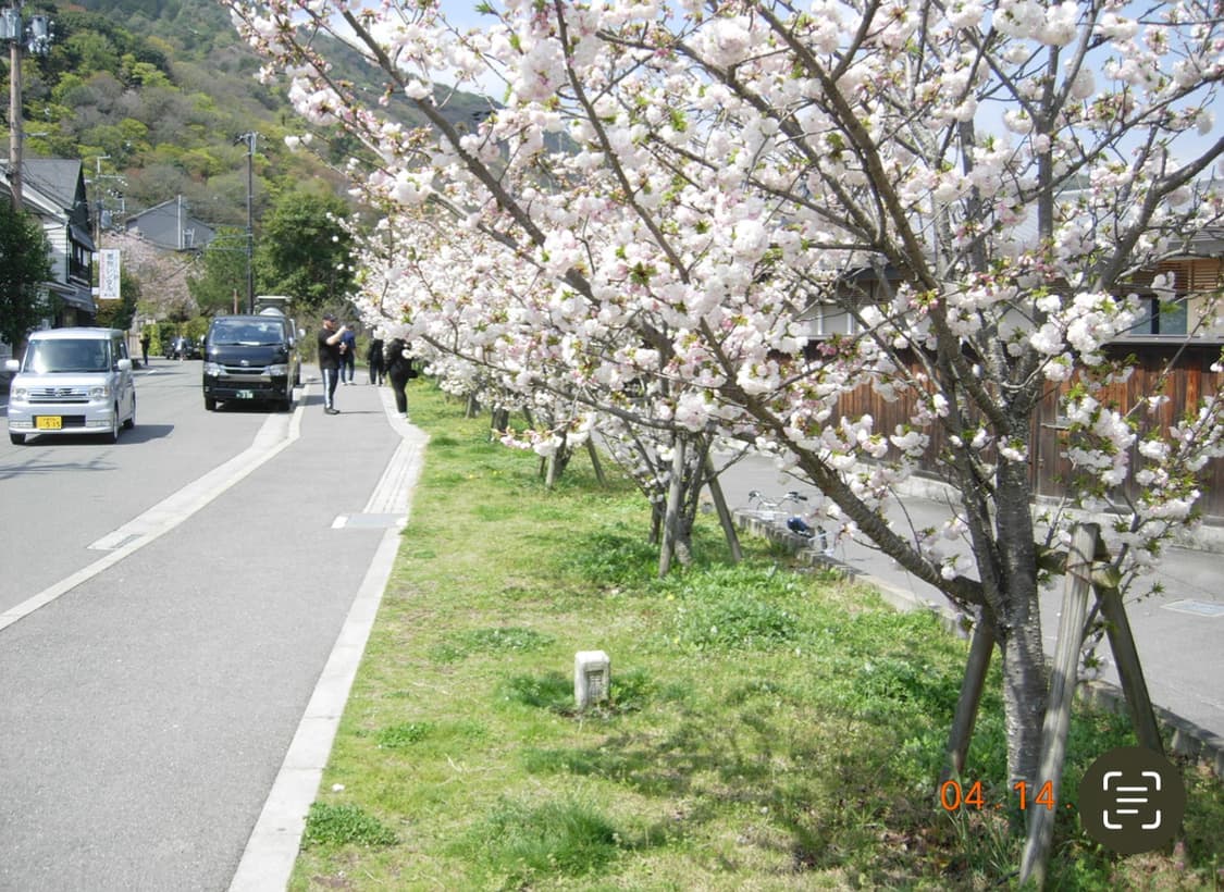 니콘 p4팝니다 상품이미지5