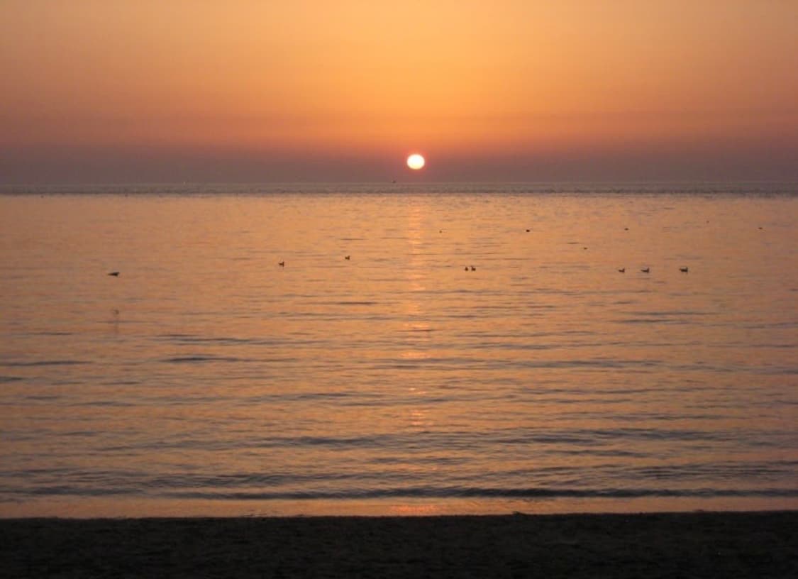 캐논 익서스 70 실버 빈티지 디카 상품이미지4