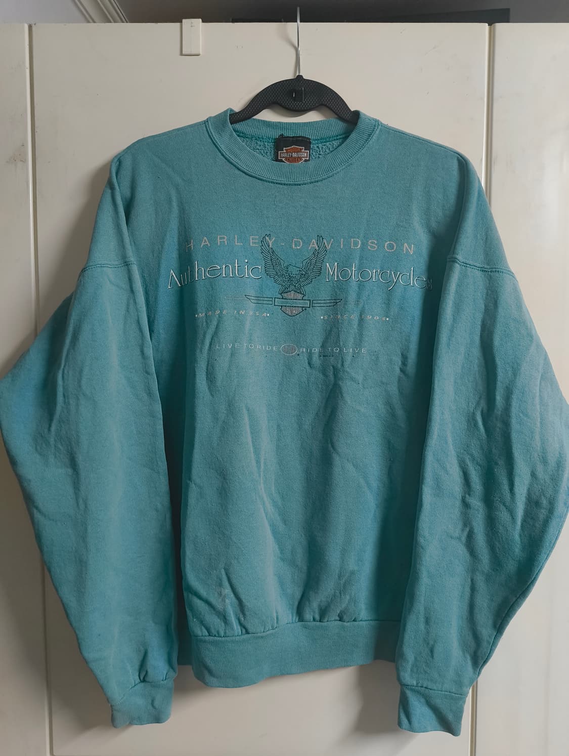 90s 할리데이비슨 스웻셔츠 민트 xl 상품이미지1