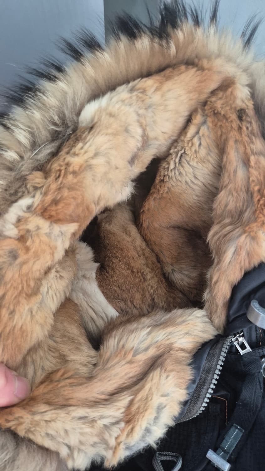 파라점퍼스 디날리 패딩 점퍼 여성용XS 상품이미지5