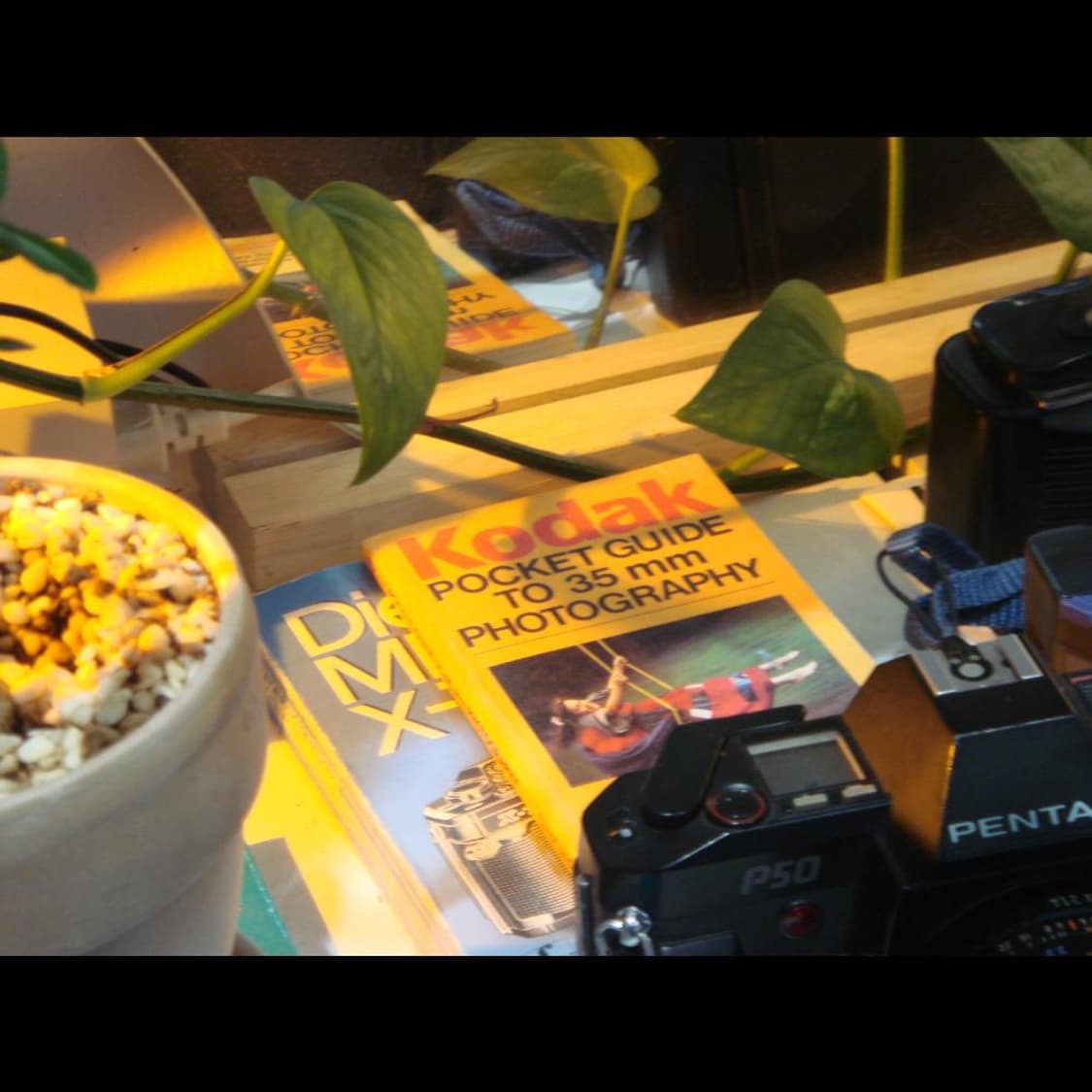 소니 DSC-T10  전용 케이스 실버 메탈릭⌚ 빈티지 디카 디지털카메라 상품이미지6